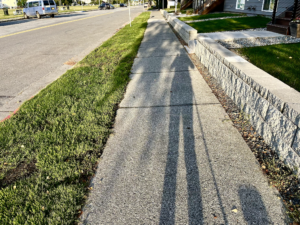 shadow of woman and dog