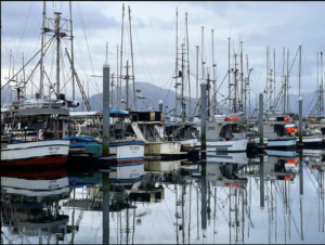 A line of fishing boats in the harbor in Sitka