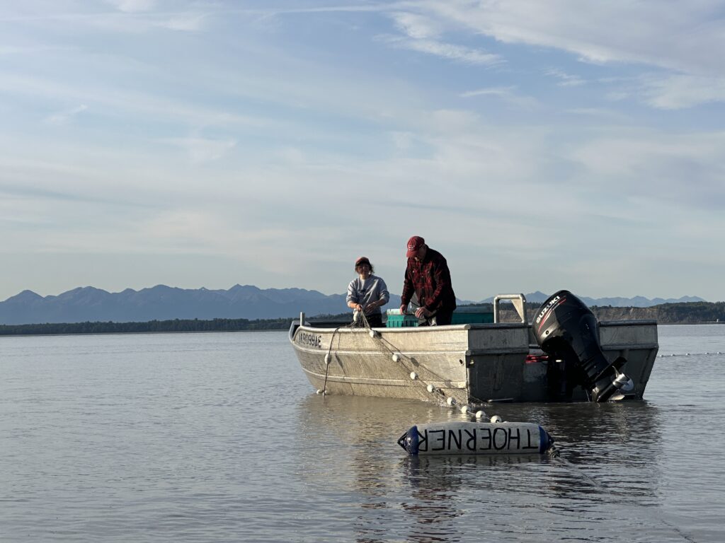 Man and daughter pulling nets over the side of a skiff
